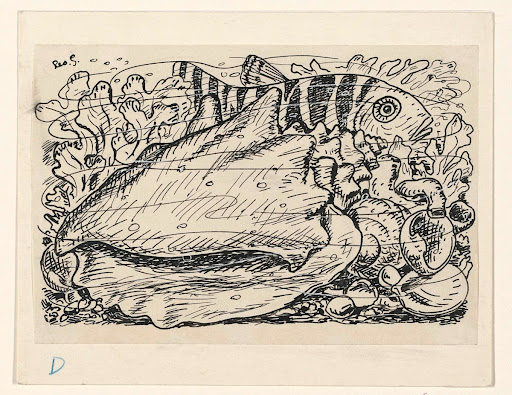 Vis en schelp in het water