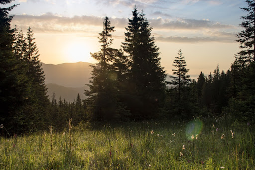 Evening on the Svydovets Ridge