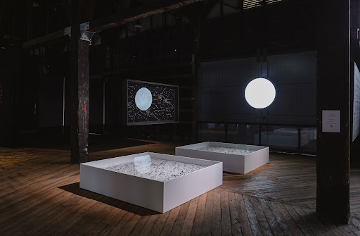 Star; Plankton; Virus (2021)