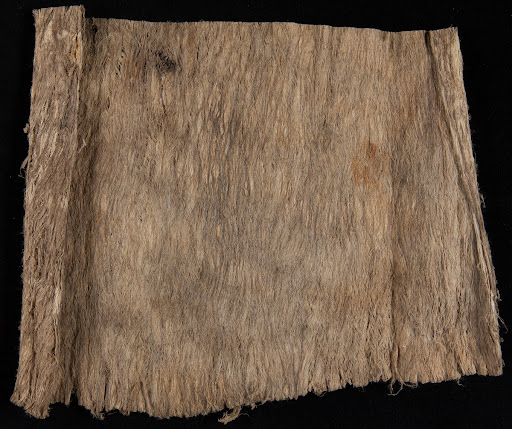 Tree Bark and Wood Pulp Samples from Brazil, Sample #15, 1925-1928