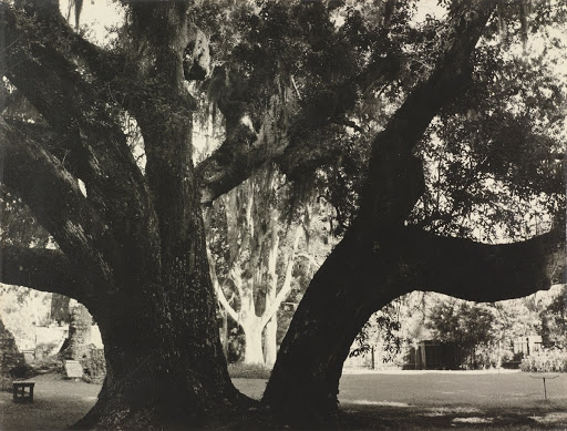 Old Sugar Mill Gardens, Florida