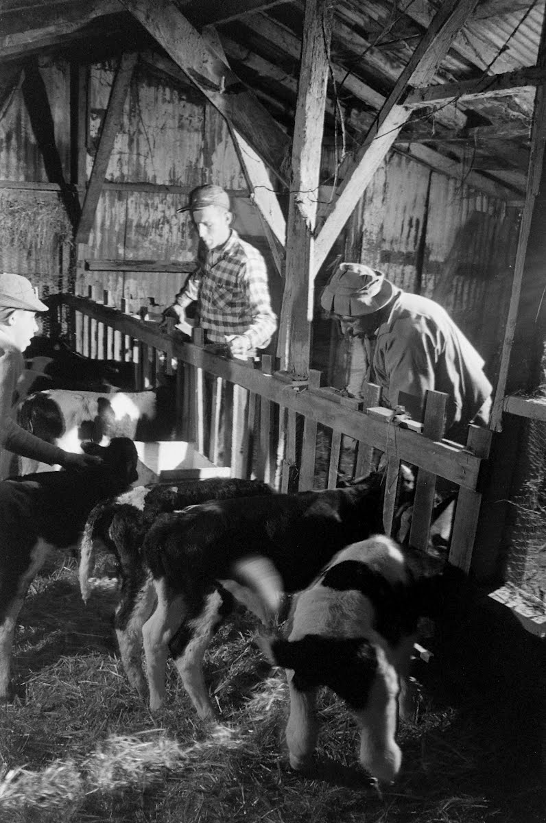 California Floods- Yuba City