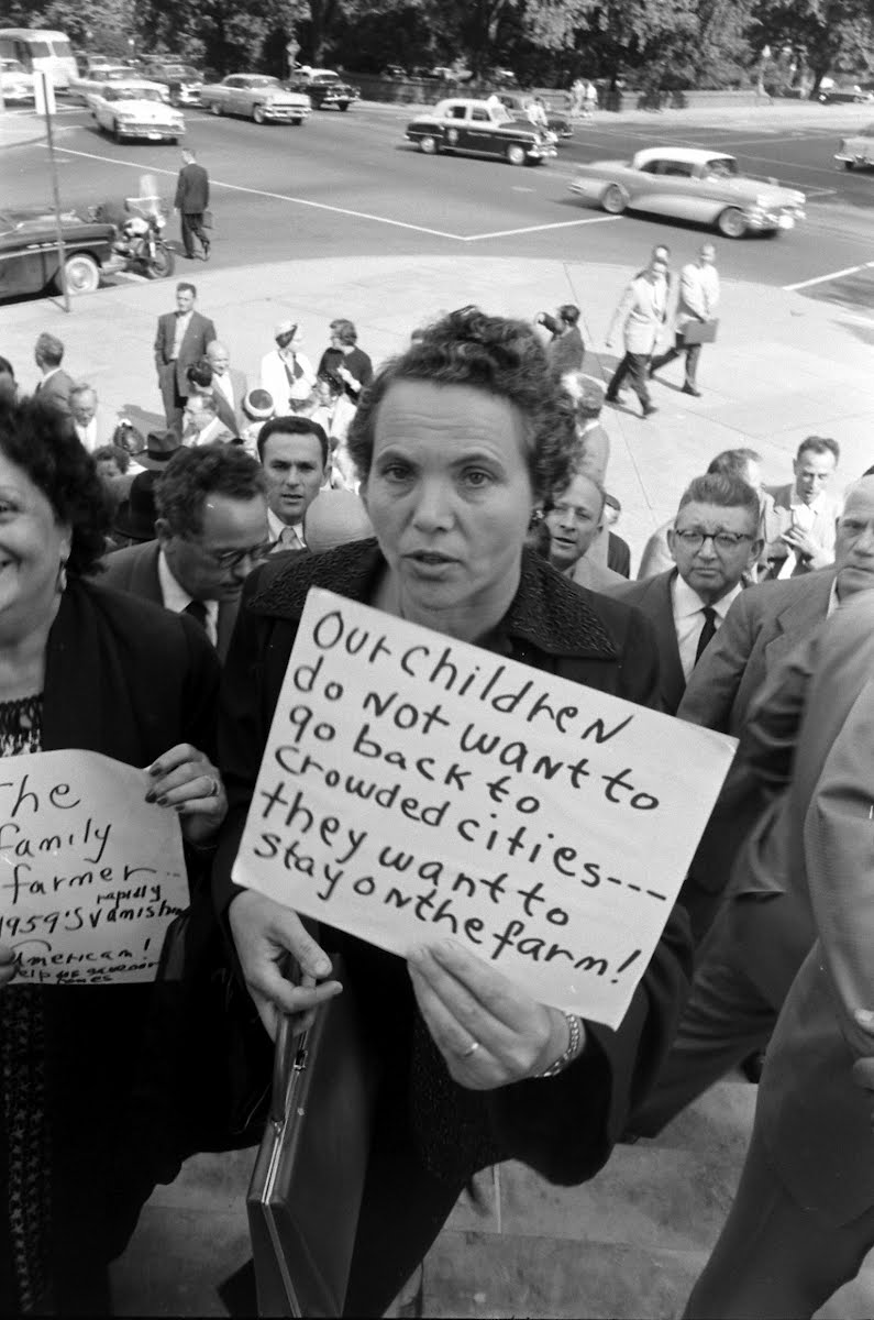 N J Poultry Demonstration