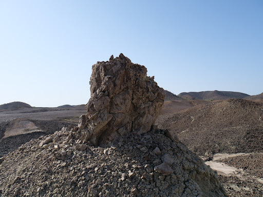 Turkana Landscapes, Petrified Forest 4
