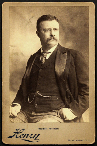 Theodore Roosevelt
