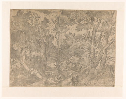 Heilige Hieronymus in de wildernis