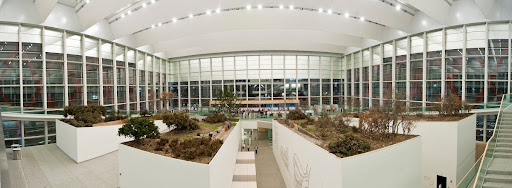 Vista panorámica nocturna