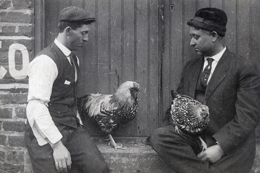 Men with Chickens