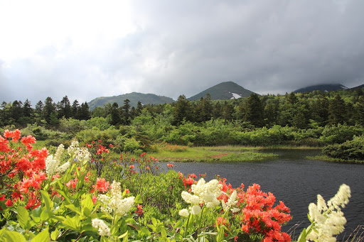 Water lily marsh to Hakkouda