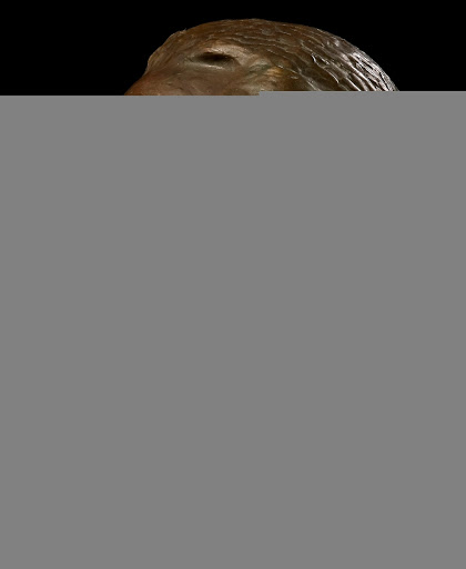 Head of Marquis de Lafayette (Lafayette Monument, Paris, France)