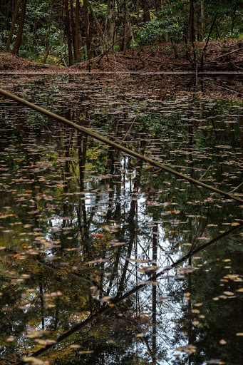 Water moat in front of the Second Gate