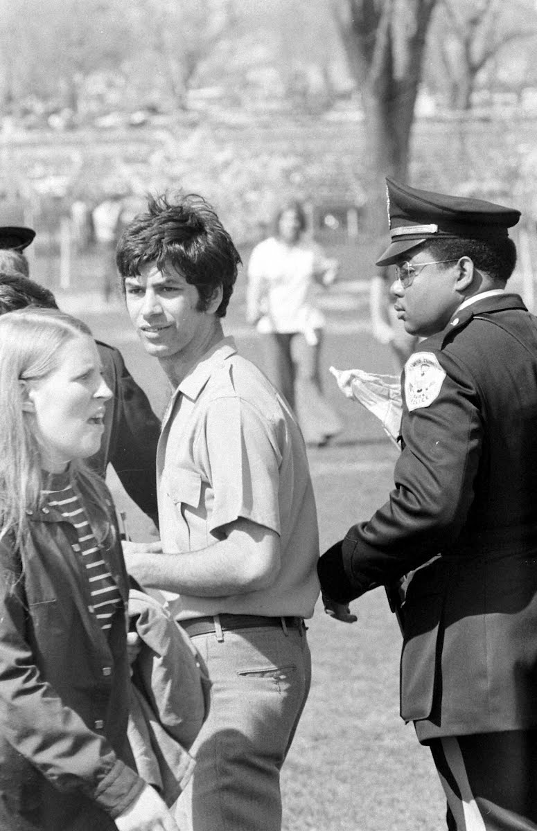Kite Flying At Washington Monument