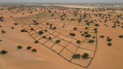 Great Green Wall Mauritania