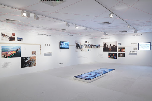 Shaheed / Witness / Kashmir