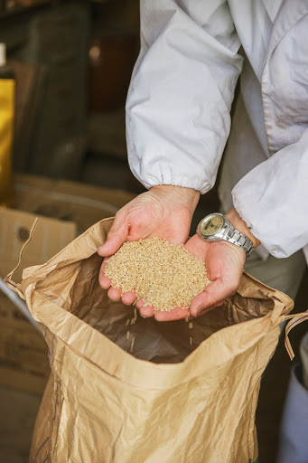 Sake rice made by Toji Mr. Isao Nagayama