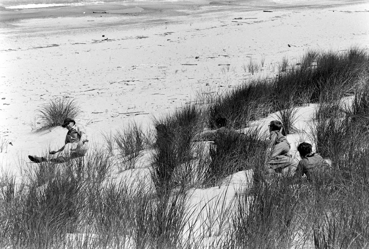 Save The Dunes