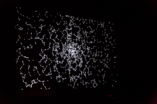 Data.Nature.Anagenesis_2