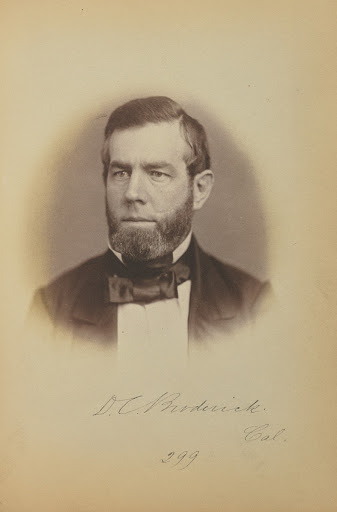 David C. Broderick