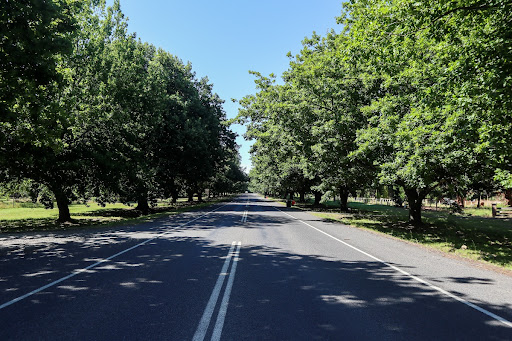 Woodend, Avenue of Honour