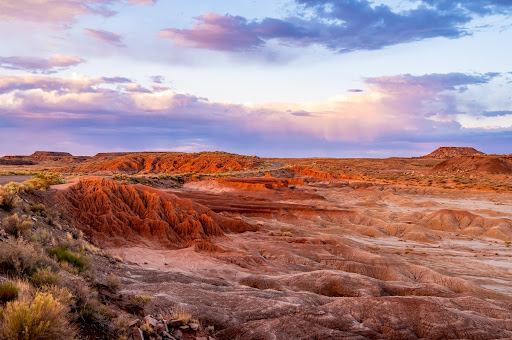 Painted Desert Petrified Forest National Park