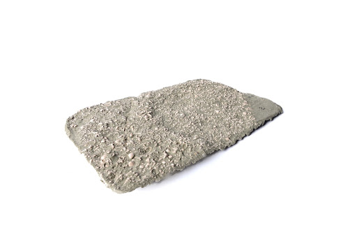 Seabed including Turritelia