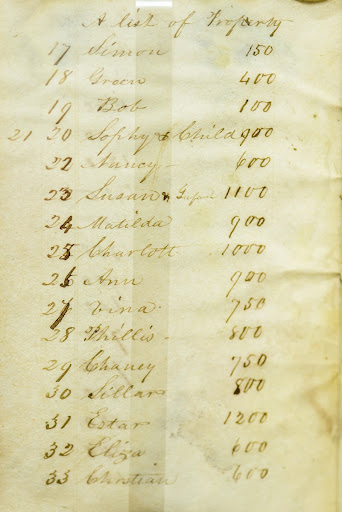 Plantation Journal (Excerpt)