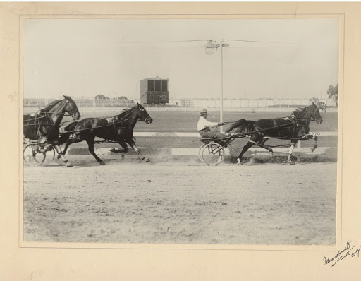 Trotting at the WACA Ground