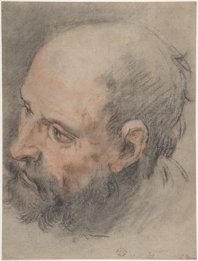 Head of a Bearded Man Looking Left