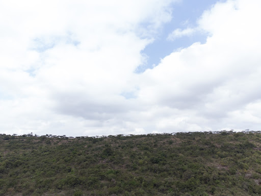 Landscape, Edge of the Rift Valley 19