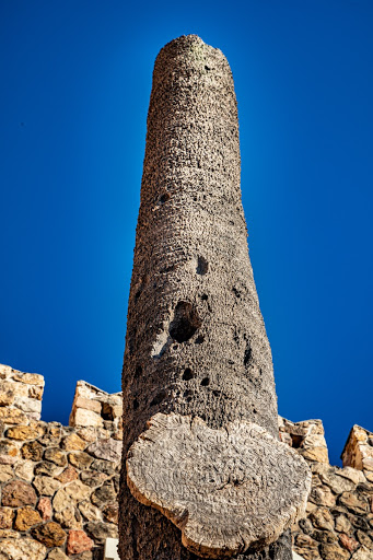 Ο φοίνικας του Καποδίστρια στο Ναύπλιο