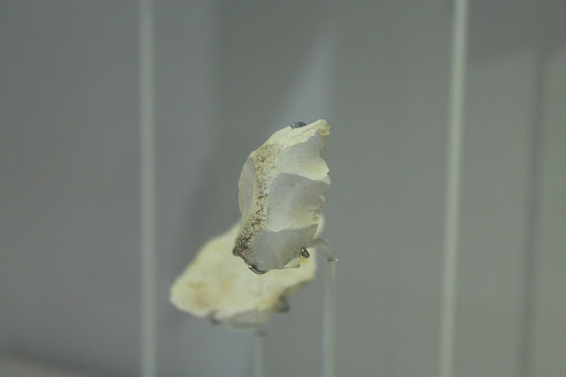 Carved arrowhead from the Hotel California site