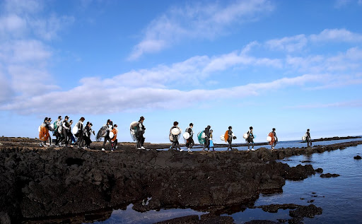 The Sea is their Second Home