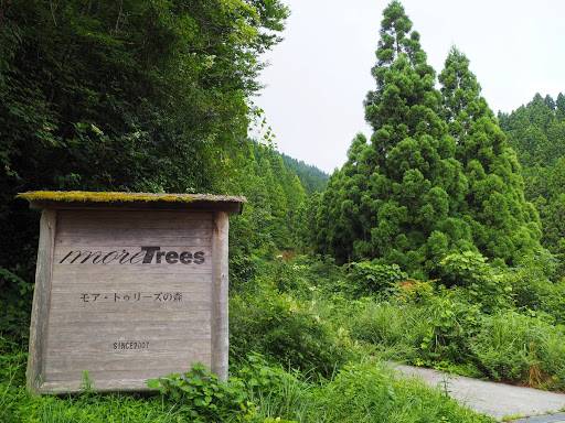 more trees forest Yusuhara Kochi