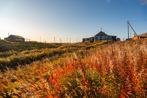 The nature of the cities of the festival STENOGRAFFIA The nature of the cities of the festival STENOGRAFFIA