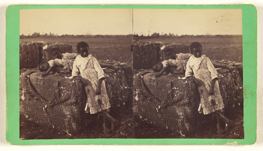 [Gone to rest, Aiken, South Carolina] (Verso)