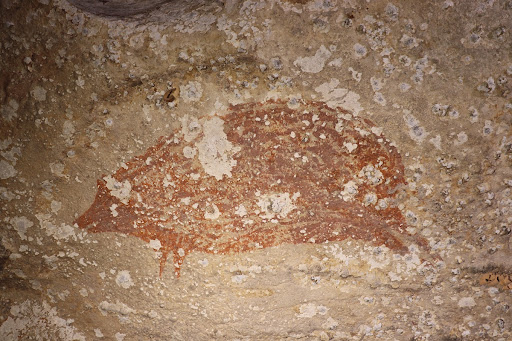 A pig that clear to see on the ceiling of Leang Karampuang