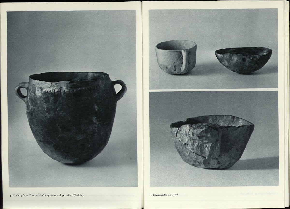 Cul Pre-His Lake Dwellers 8 Pile Dwellings, Stone , Bronze, Iron. Switzerland, Germany, Glastonbury England