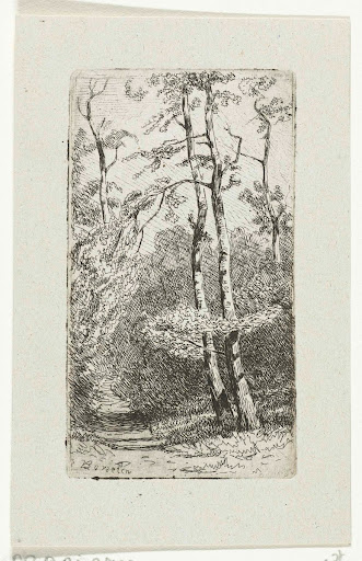 Landschap met berken