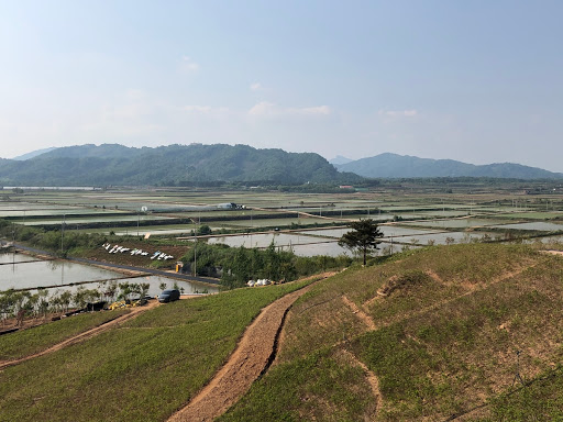 Landscape from Baengmagoji