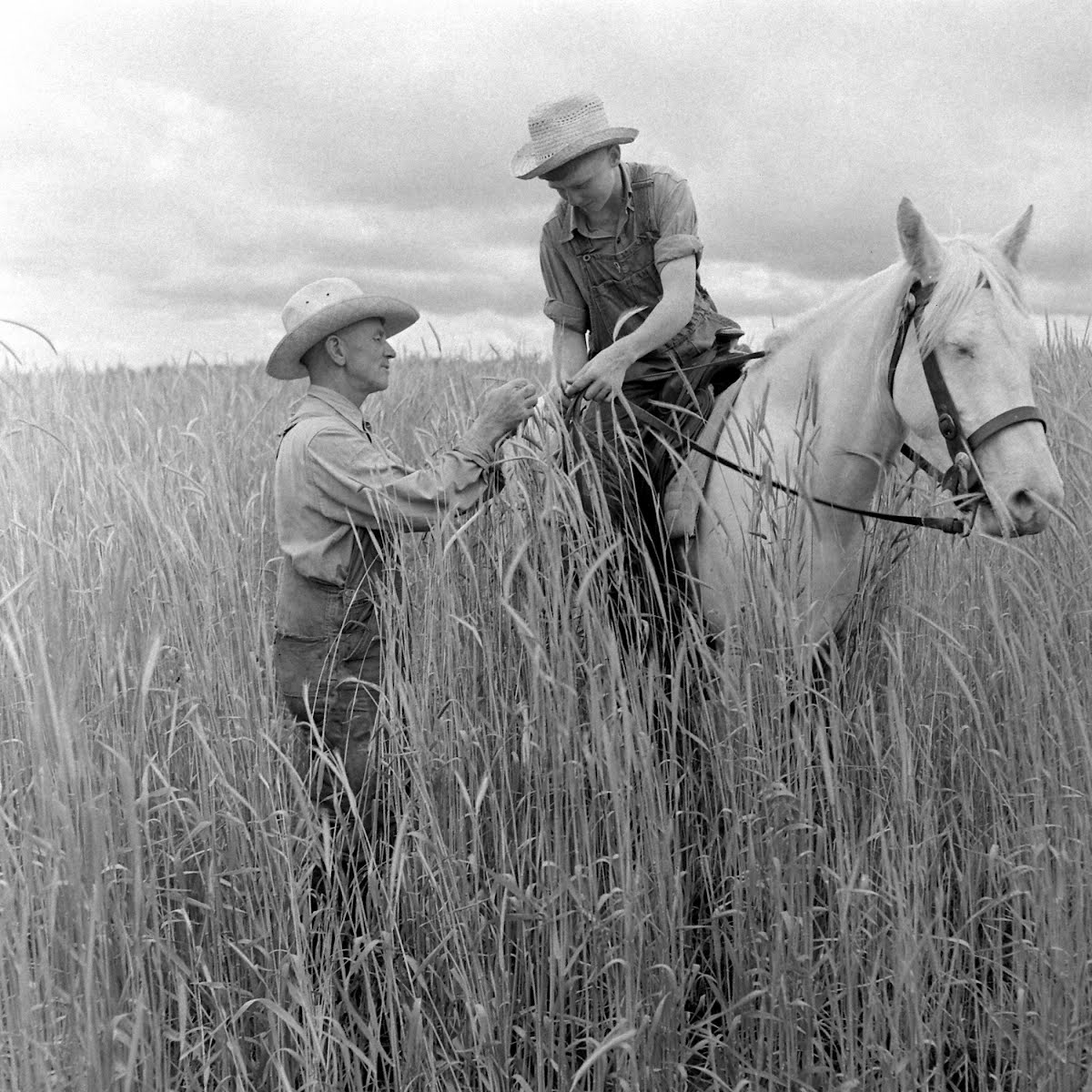 Don Garner, Typical Farm Boy