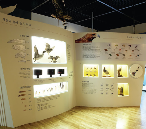 The Mysterious Anatomy of Birds