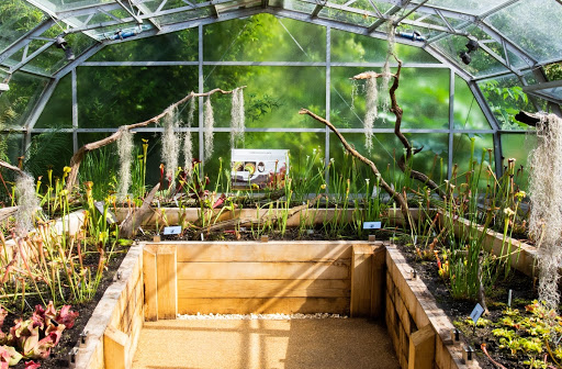 The Carnivorous Plant House