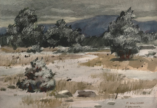 Snow In The High Country