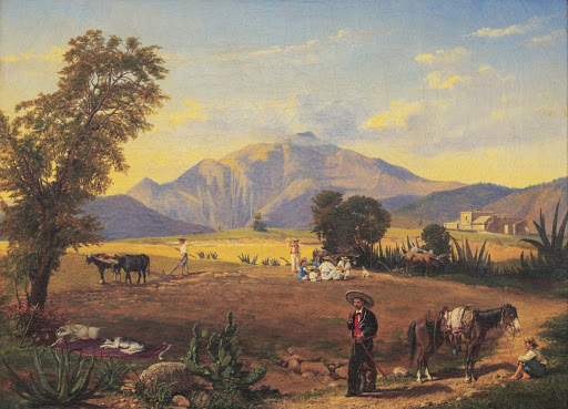Mexican Landscape