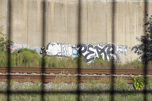 Graffiti Through the Fence