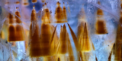 Inclusiones de goethita en cuarzo amatista