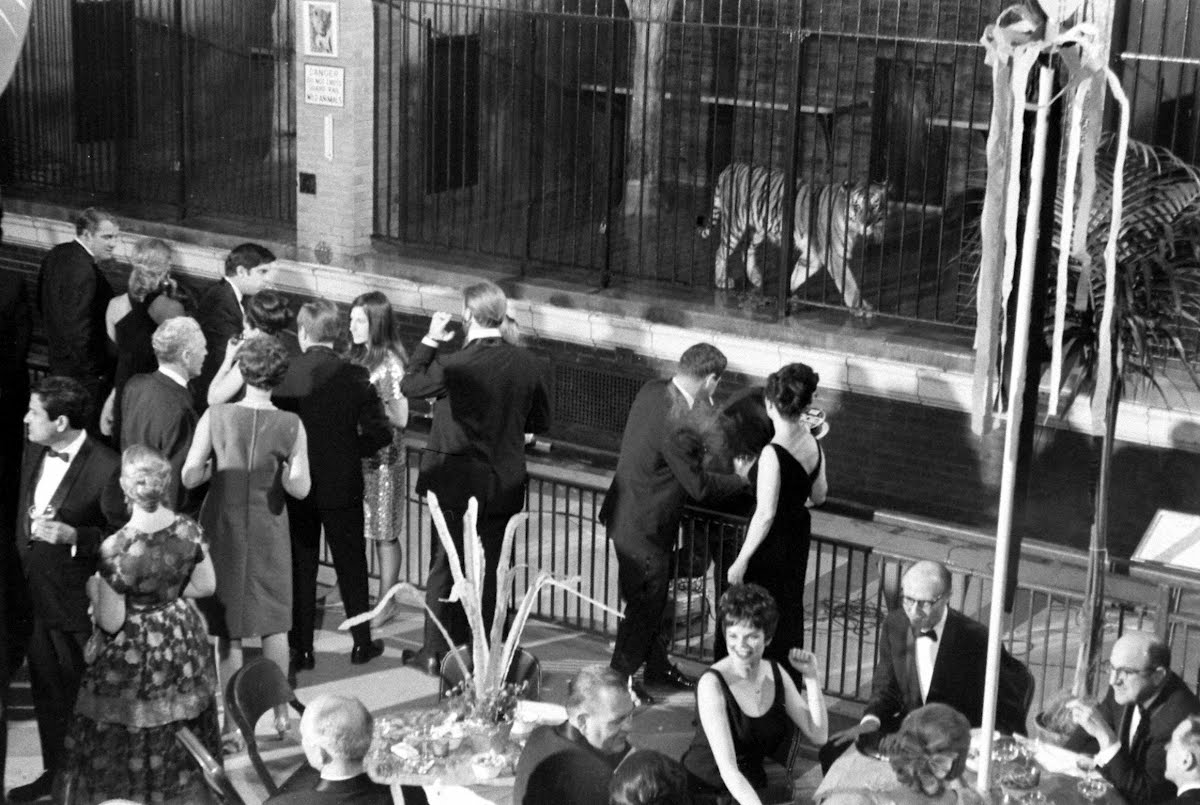 Zoo Ball Chicago Lincoln Park Zoo