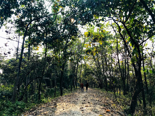 Udalguri Landscape Mission (January 2021)