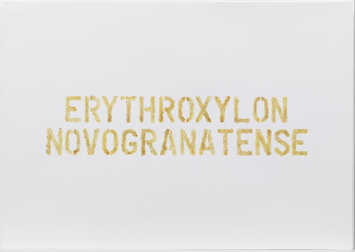 Colonial and Indigenous Names of the Coca Plant (Nombre colonial y nombres indígenas de la planta de coca)