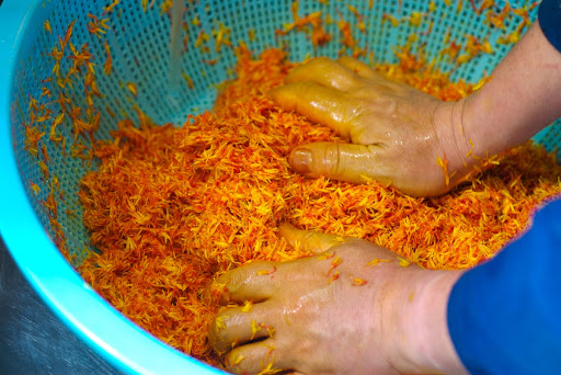 [Benimochi-making process]